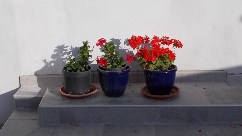 Guest House Accommodation Rupine Premantura Exterior foto