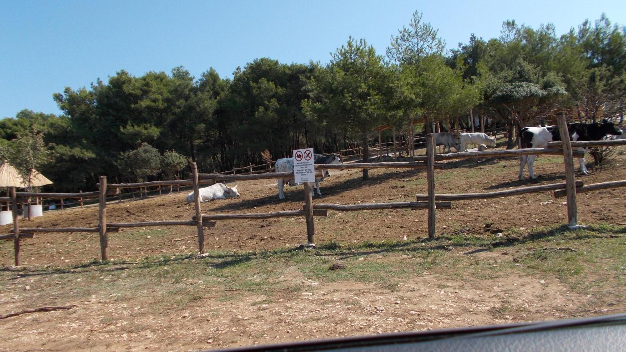 Guest House Accommodation Rupine Premantura Exterior foto
