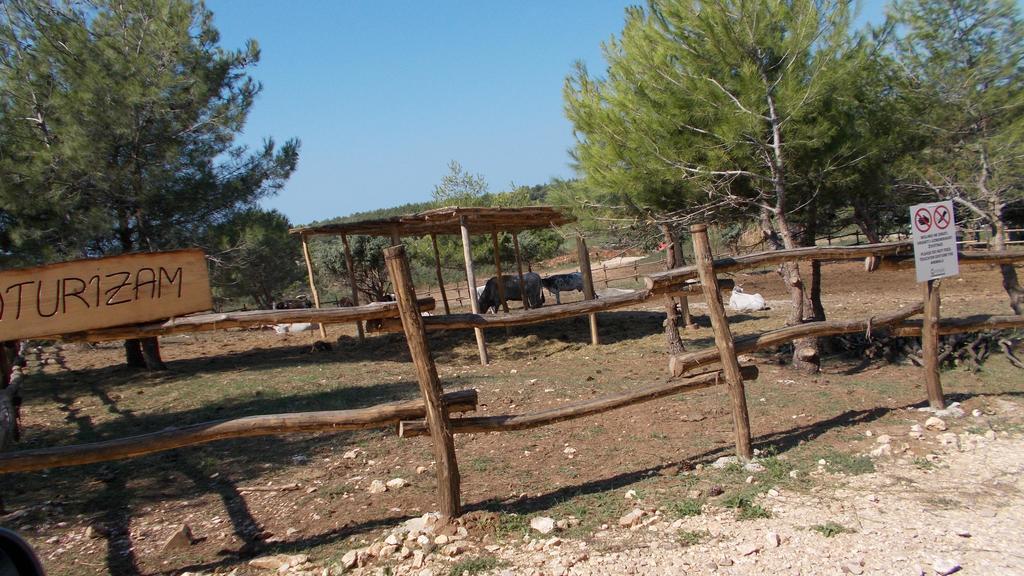 Guest House Accommodation Rupine Premantura Exterior foto