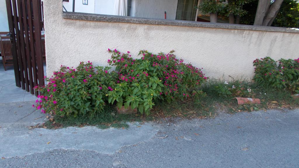 Guest House Accommodation Rupine Premantura Exterior foto